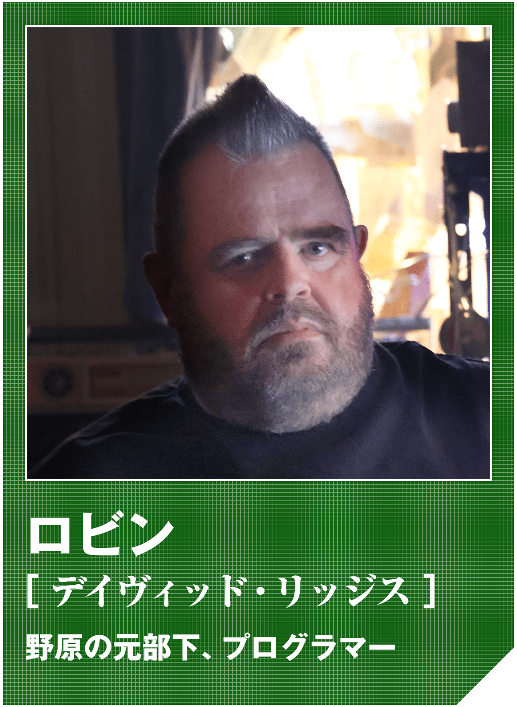 ロビン（デイヴィッド・リッジス）