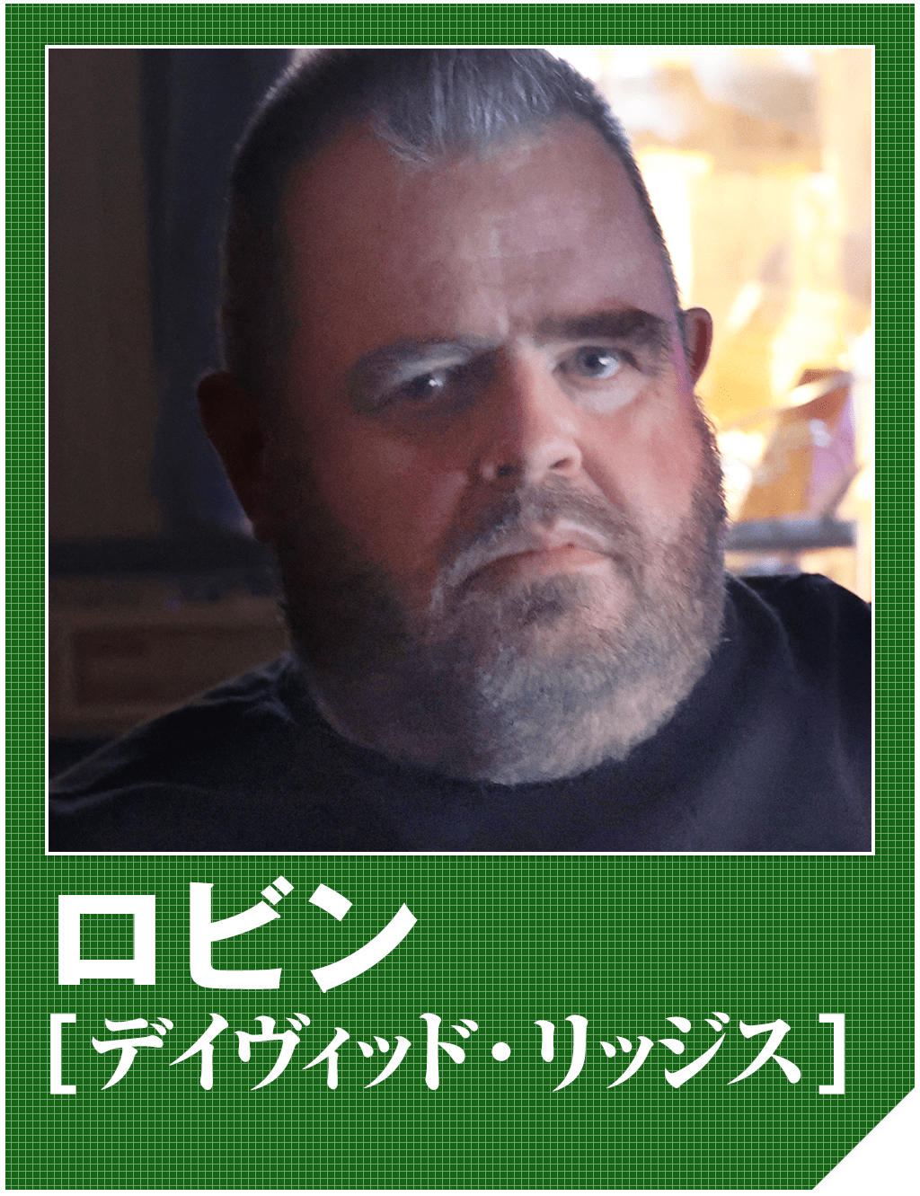 ロビン（デイヴィッド・リッジス）